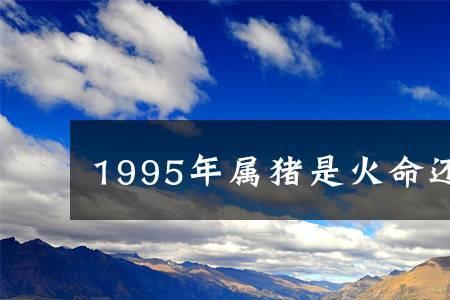 1995年是金年还是木年