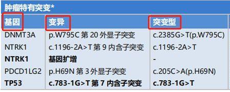 TH基因是什么意思