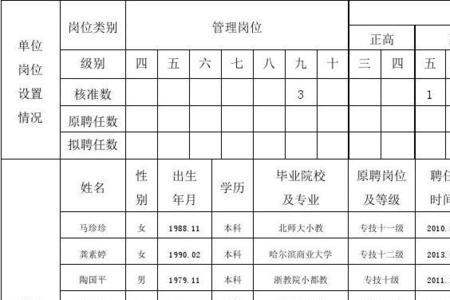 聘用岗位名称及等级指的是