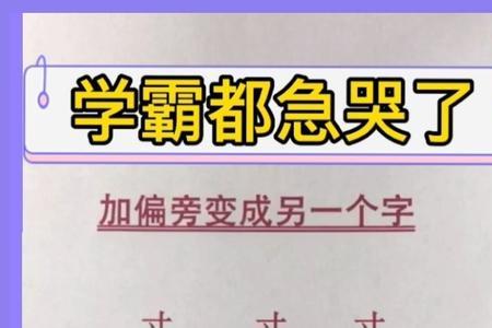 有寸字的字和什么有关