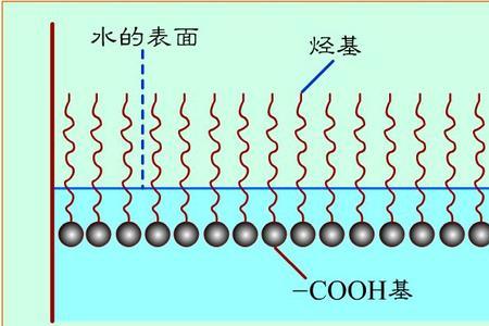 亲油基分别是什么