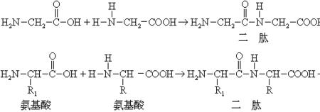 三氧化二铝的两性化学方程式