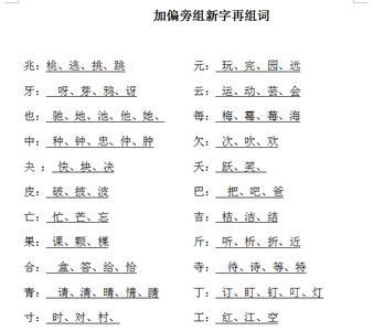 电字加一偏旁是什么字