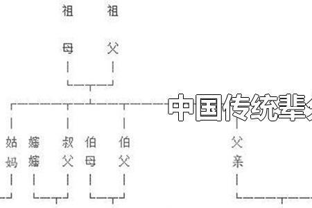 同一个祖父的算几代亲