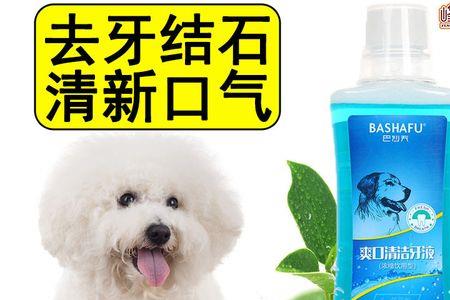 狗狗可以喝麦香奶吗