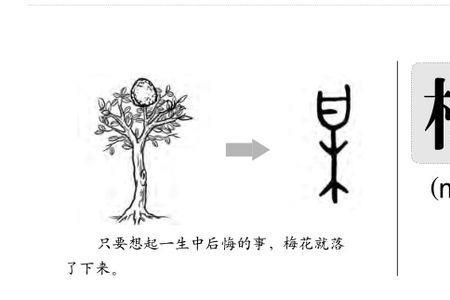 梅字的笔画是几划