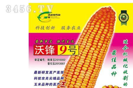 河南玉米种业十大品牌