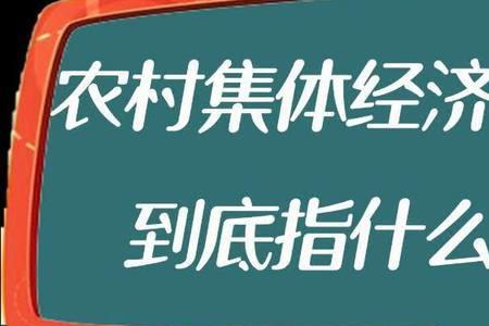 其它经济组织是指哪些