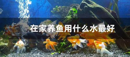 自来水开缸的正确方法