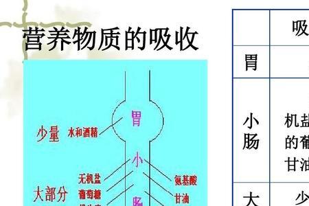 8大营养素分别是什么