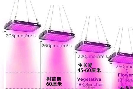 暖光led灯能给植物补光吗