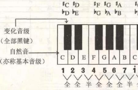 钢琴考级对应音级