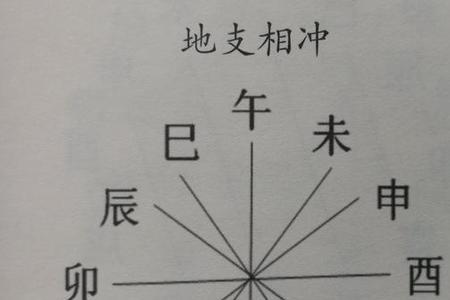 子午卯酉寅申巳亥什么意思