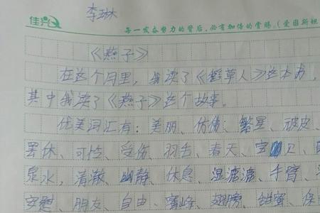 芳儿的梦读后感50字