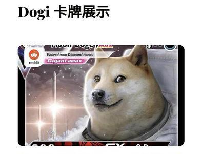 dogeking创始人是谁