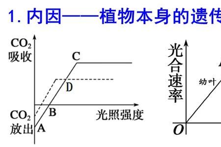 影响光照的因素有哪些