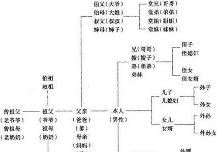 爸爸弟弟的老婆怎么称呼