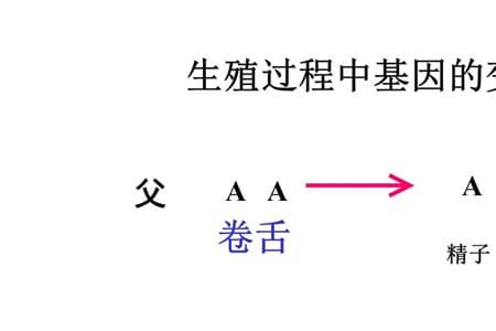 不完全显性与融合遗传的区别