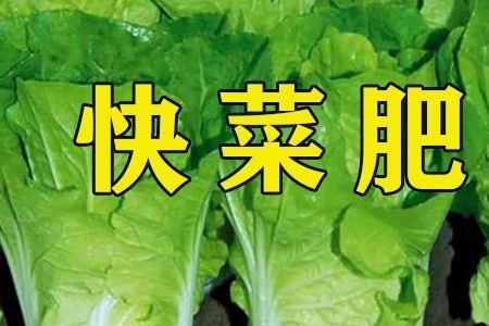 快菜施什么肥好