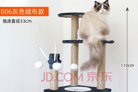 猫爬架发霉了怎么办