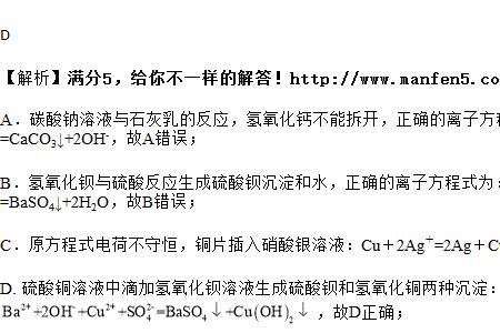 硝酸银溶液阳极电离方程式