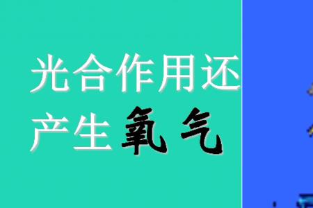 碳和氧气在常温下会反应吗