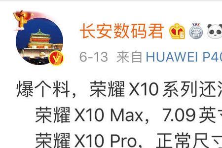 荣耀x10屏幕出现很多灰色竖纹