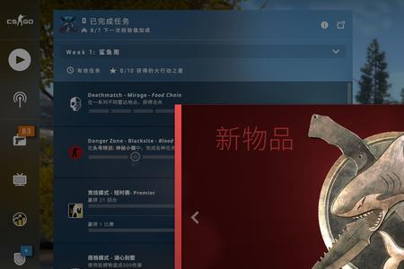 csgo大行动每年什么时候