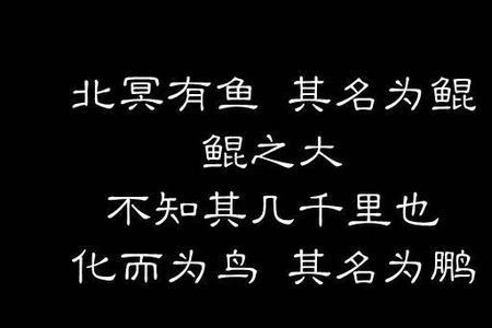 海运则将徙于南冥其余的意思