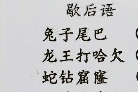 买个兔子过年歇后语