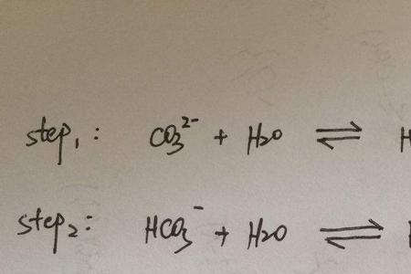 碳酸水解离子方程式