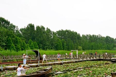 西溪湿地和溱湖湿地哪个面积大