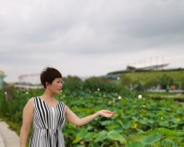 碧水清莲女主角扮演者