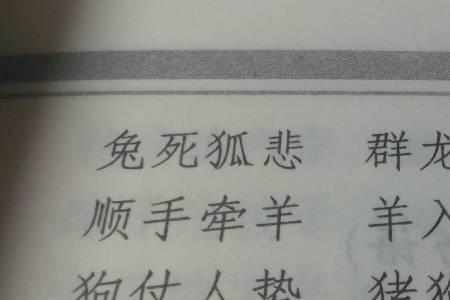 可可的四字成语