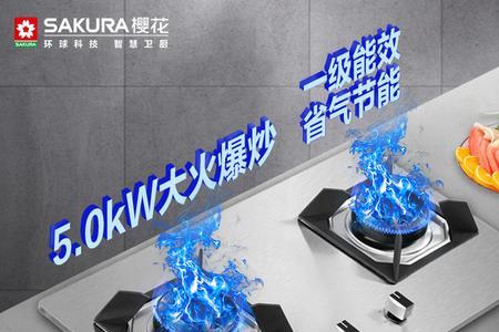 燃气灶5.0kw耗气吗