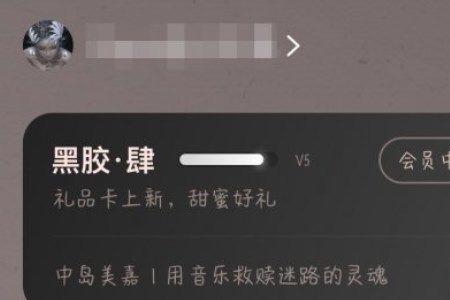 网易云uid什么意思