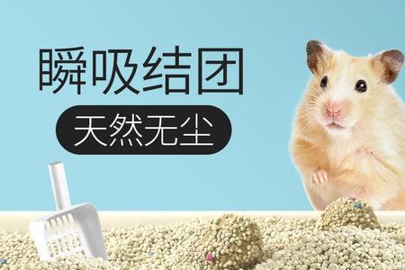 仓鼠的尿沙跟猫咪的尿沙通用吗