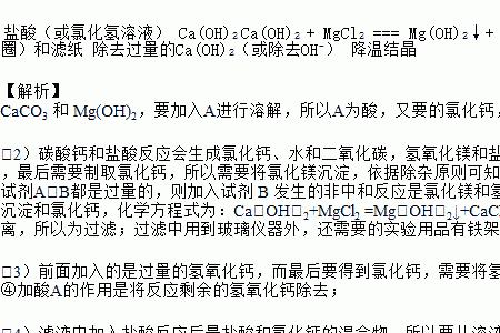 碳酸钙与水反应生成什么