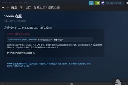 csgo没有用户登录怎么回事