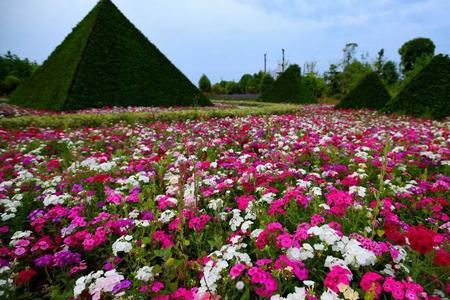 花花世界你是主角歌