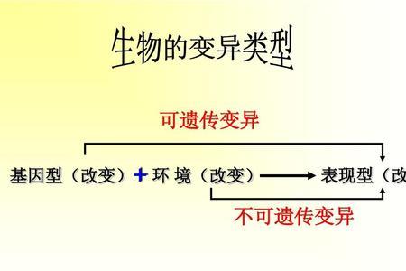 基因突变和分化的区别