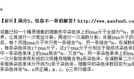 细胞核里有多少条染色体