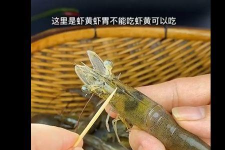 虾坏了怎么处理