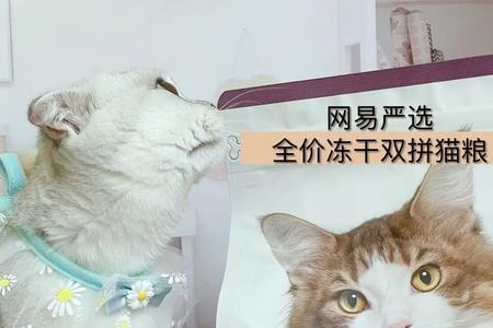 网易严选猫粮代工厂是哪家