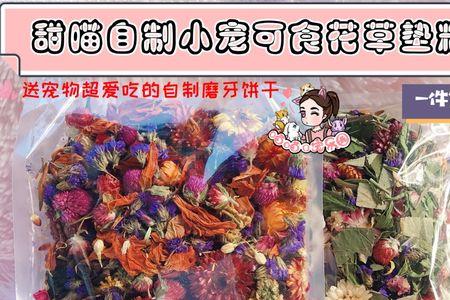 仓鼠能吃干花吗