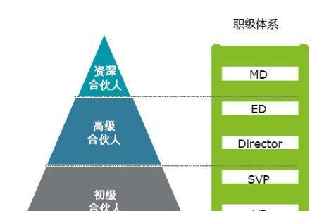 公司里vp和svp是什么级别