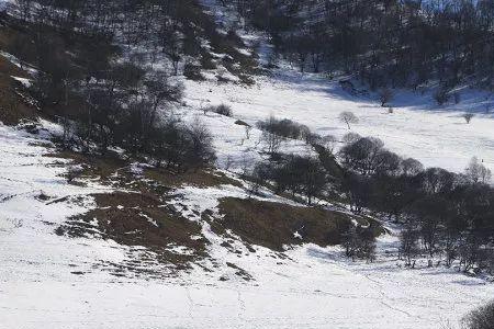 八百里秦川风和月出自哪里