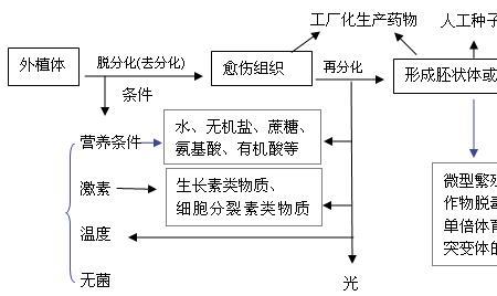 组织培养原理