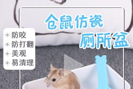 仓鼠的吸尿沙怎么用