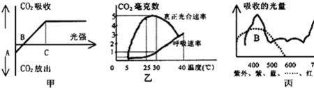 光合速率的单位